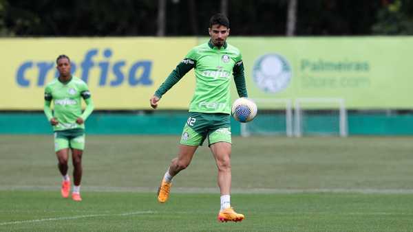 Palmeiras x Botafogo: Quem Vai Assumir a Liderança do Brasileirão?